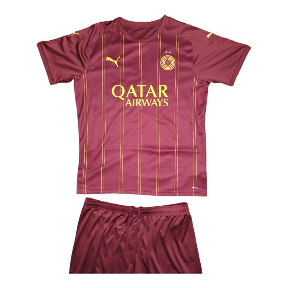 Qatar Puma Soccer Jerseys Two Pieces Shorts and T-shirt Size L Burgundy Color